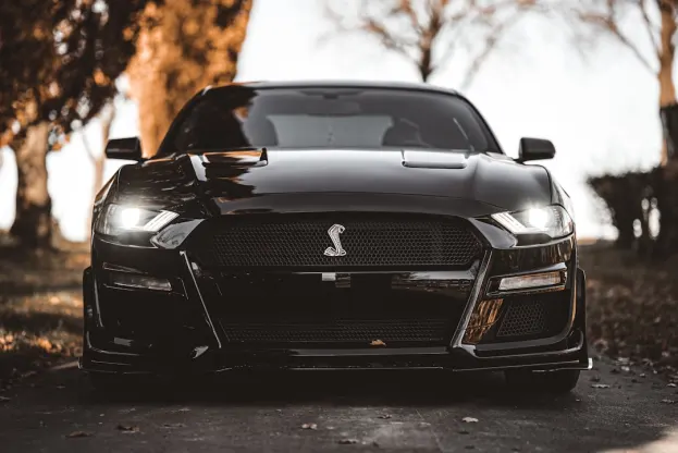 Pure Kazino Android/iOS Lietotne